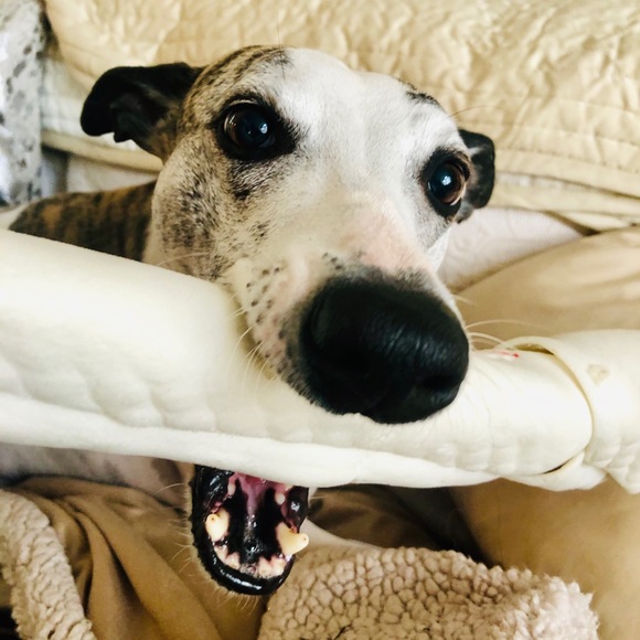 💋Meet The Posher💋 - Picture 12 of 16